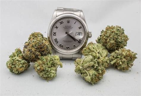 platinum rolex strain